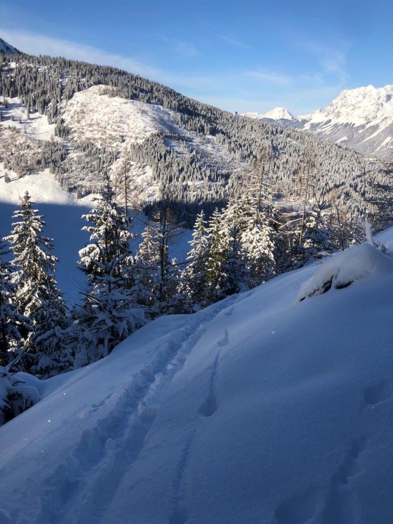 Appartementhaus Alma Dış mekan fotoğraf